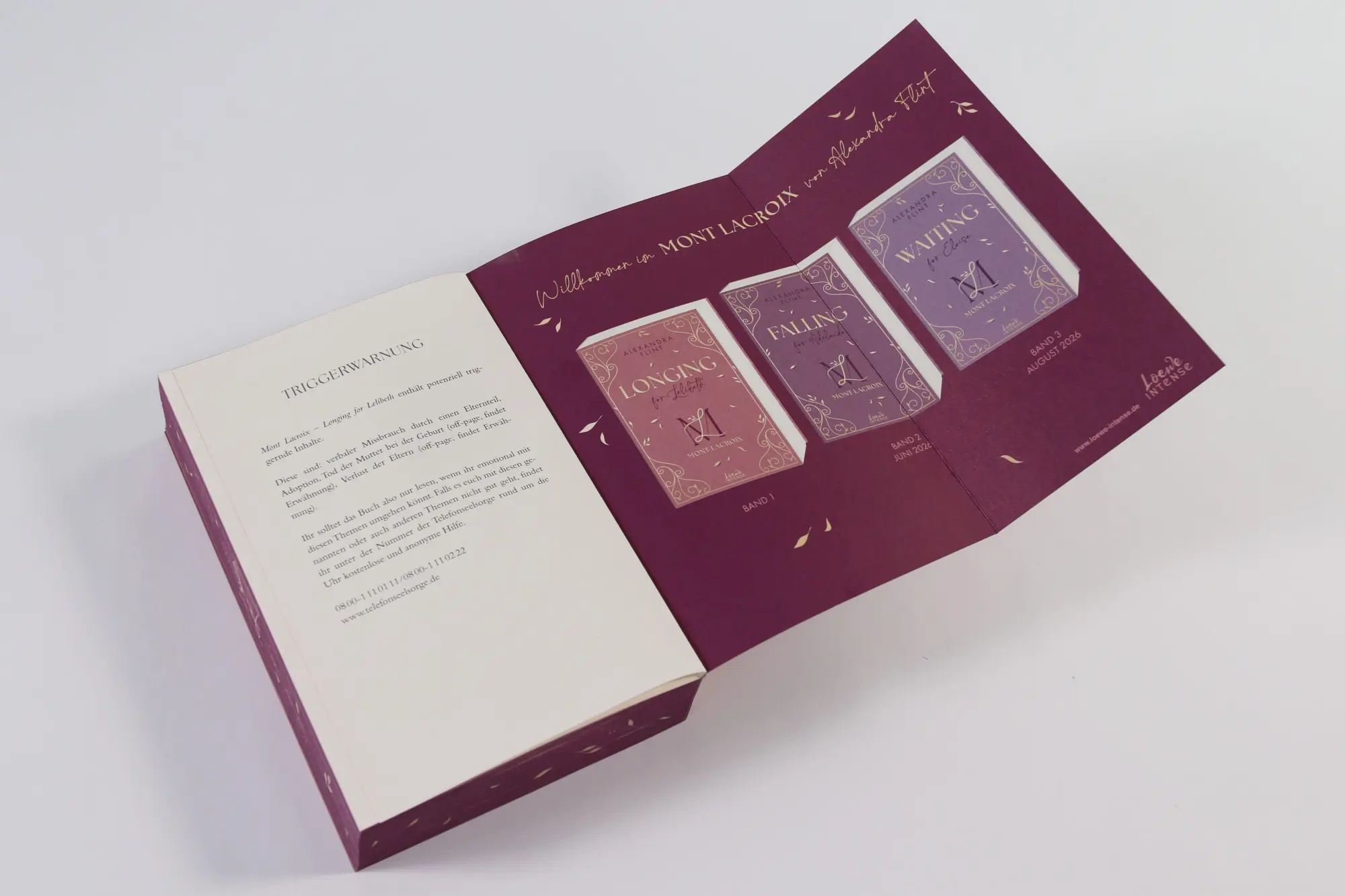 Bild: 9783743217690 | Mont Lacroix (Band 1) - Longing for Lelibeth | Alexandra Flint | Buch