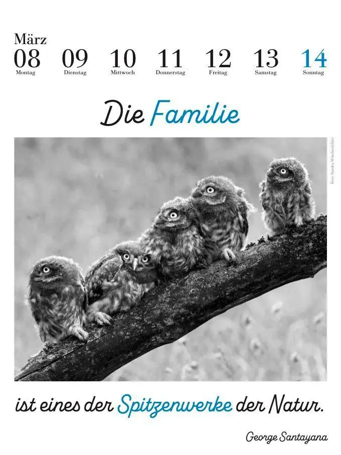 Bild: 9783895617690 | Der literarische Eulenkalender 2027 | Zweifarbiger Wochenkalender