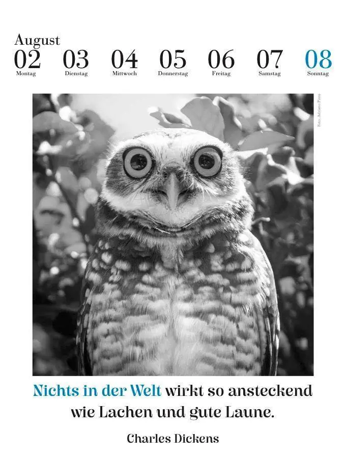 Bild: 9783895617690 | Der literarische Eulenkalender 2027 | Zweifarbiger Wochenkalender