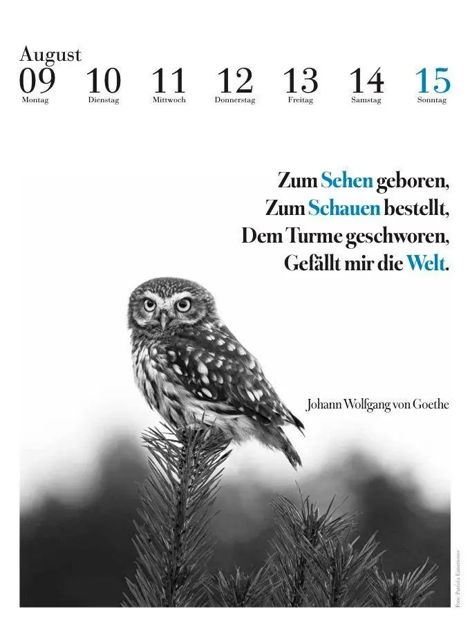 Bild: 9783895617690 | Der literarische Eulenkalender 2027 | Zweifarbiger Wochenkalender