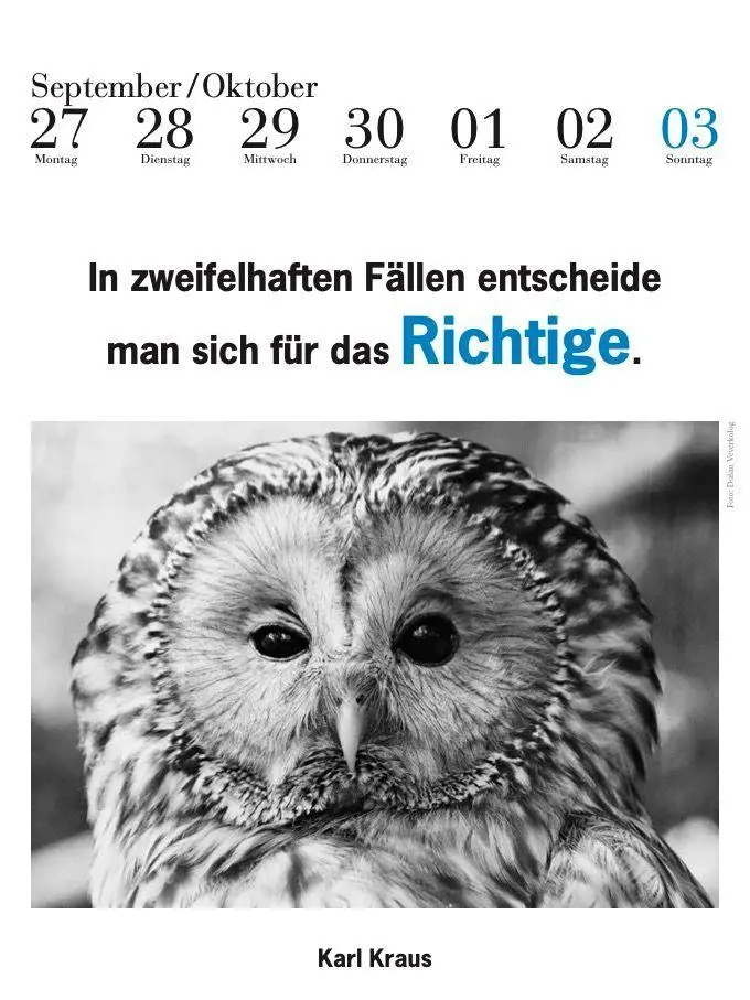 Bild: 9783895617690 | Der literarische Eulenkalender 2027 | Zweifarbiger Wochenkalender