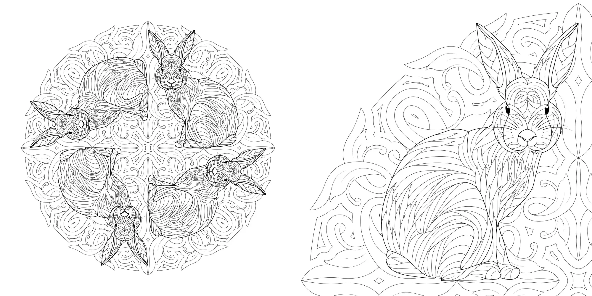 Bild: 9788863127690 | Tier-Mandalas | Ausmalbuch zur kreativen Stressbewaltigung | White