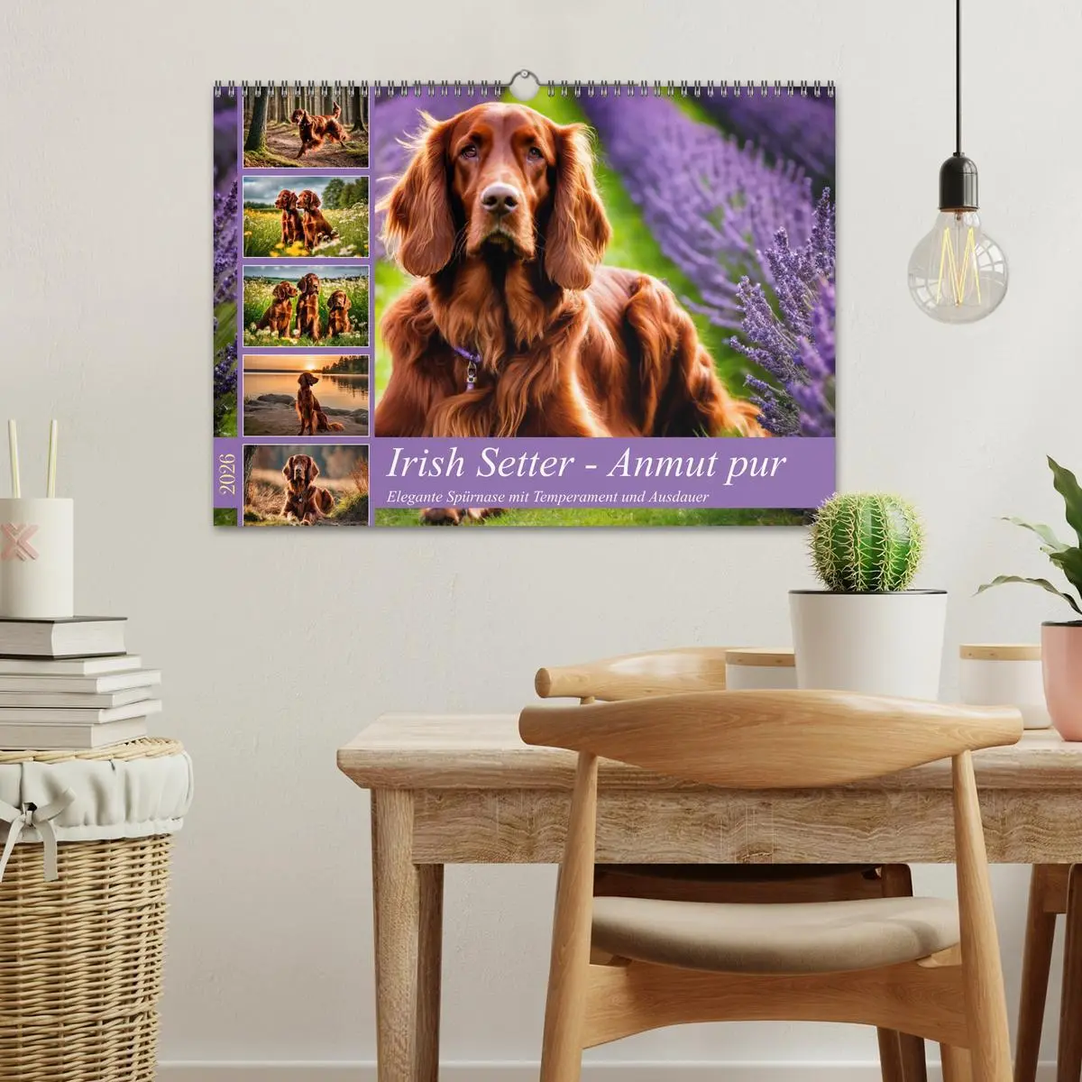 Bild: 9783457407790 | Irish Setter - Anmut pur (Wandkalender 2026 DIN A3 quer), CALVENDO...