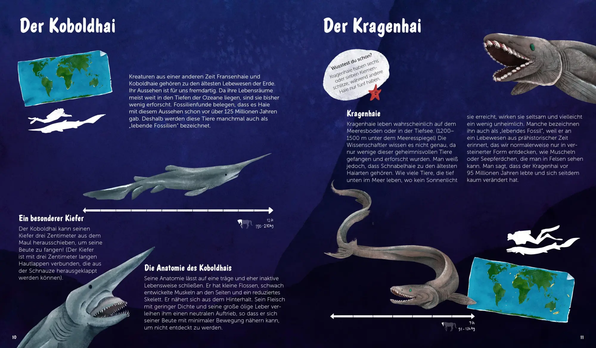 Bild: 9783967047790 | Die Welt der Haie | Darcy Dobell | Buch | 72 S. | Deutsch | 2025