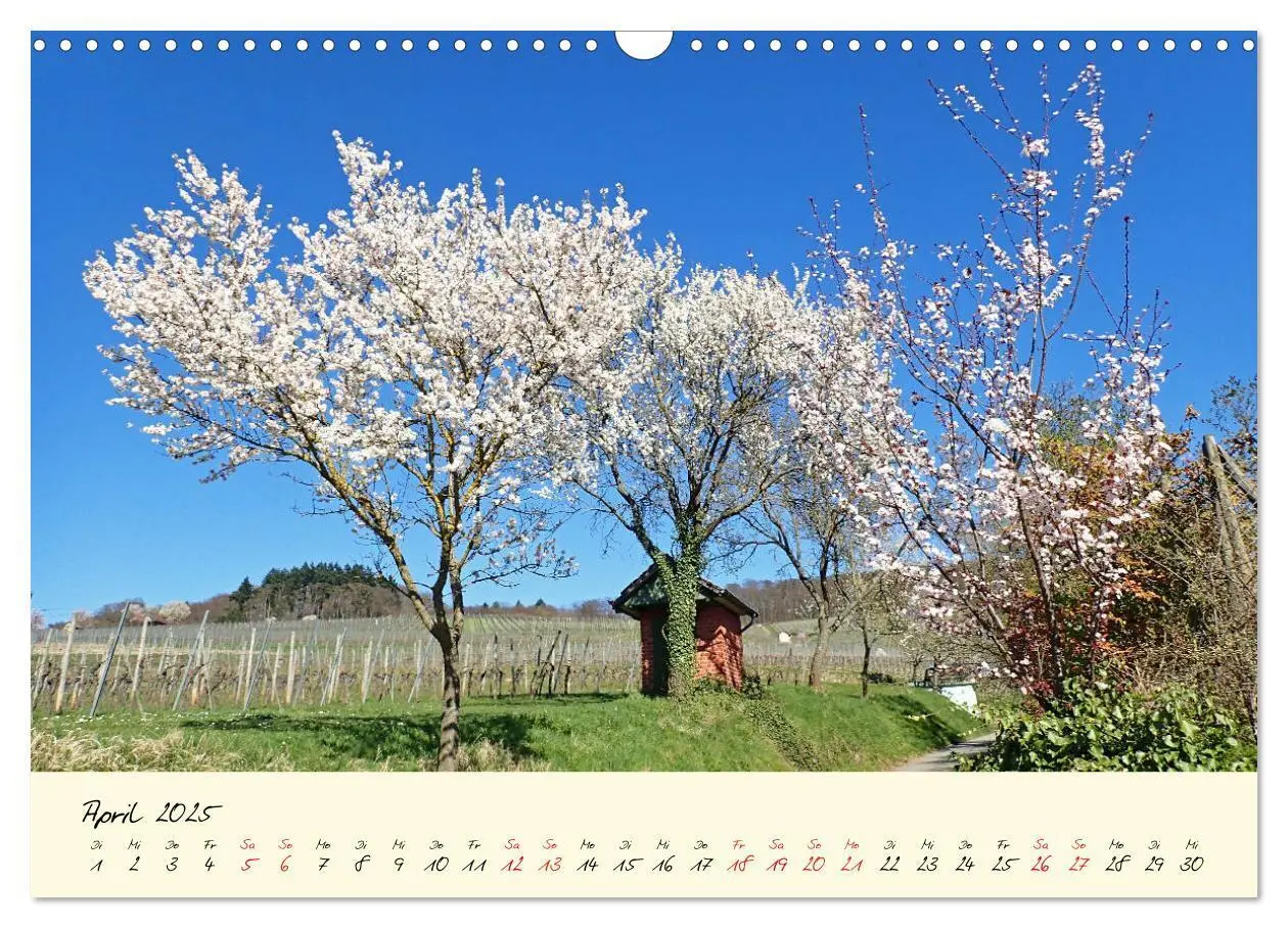 Bild: 9783435167890 | Malerisches Heppenheim an der Bergstraße (Wandkalender 2025 DIN A3...
