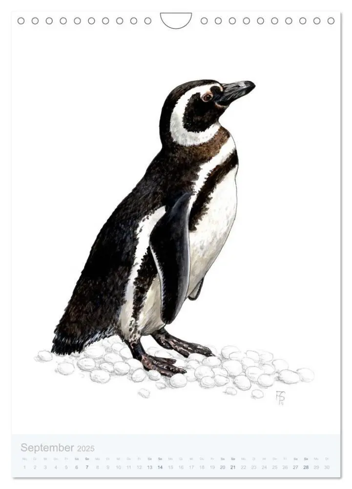 Bild: 9783457017890 | Pinguine - 13 Illustrationen (Wandkalender 2025 DIN A4 hoch),...