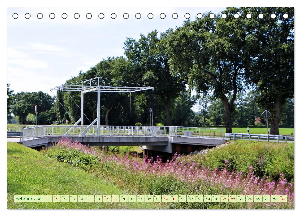 Bild: 9783457567890 | In Apen und umzu (Tischkalender 2026 DIN A5 quer), CALVENDO...