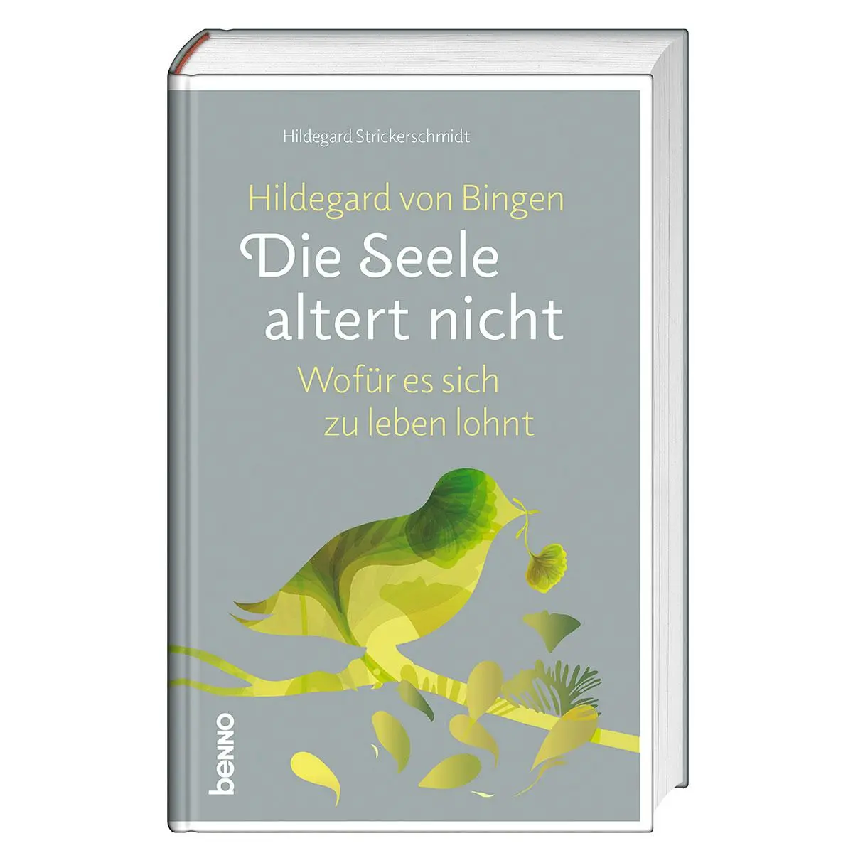 Cover: 9783746267890 | Hildegard von Bingen: Die Seele altert nicht | Strickerschmidt | Buch