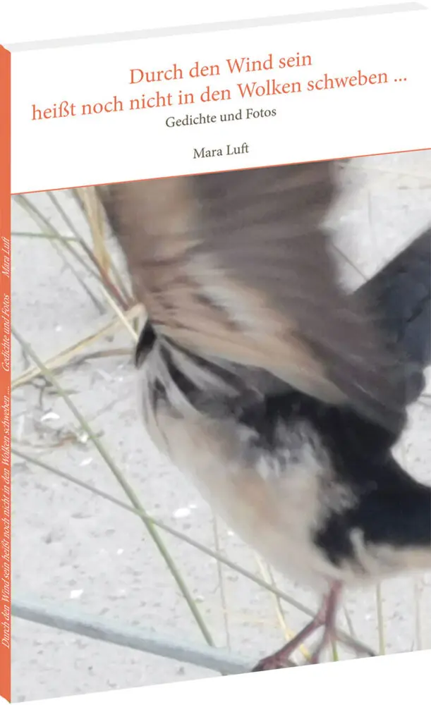 Cover: 9783959667890 | Durch den Wind sein heißt noch nicht in den Wolken schweben ... | Luft