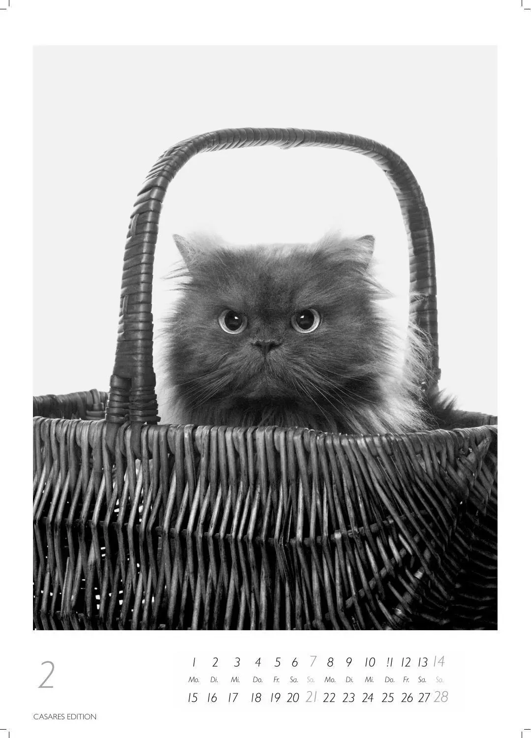 Bild: 9781835247990 | Cats schwarz-weiss Kalender 2027 - Wandkalender Fotokalender...