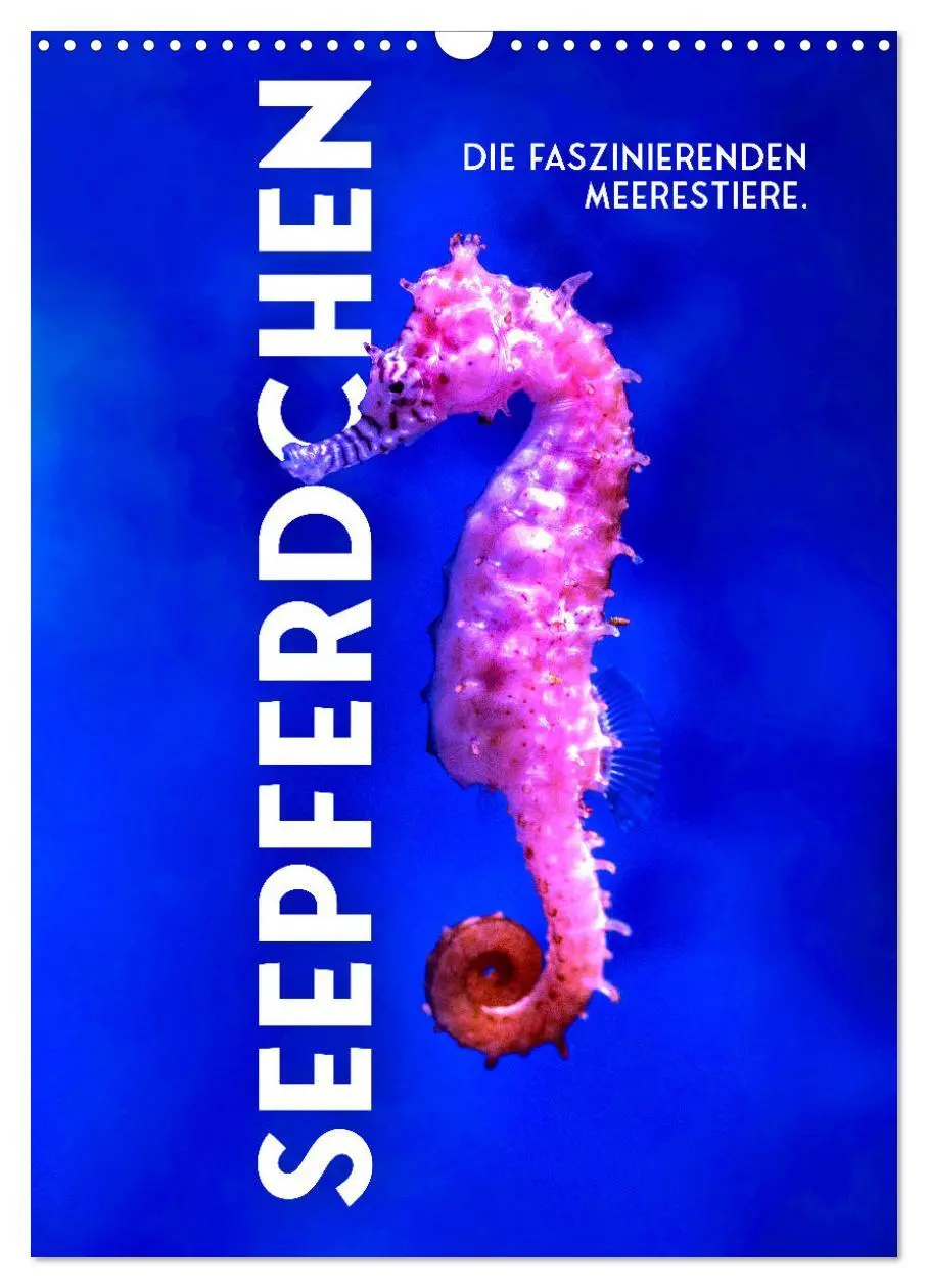 Cover: 9783516337990 | Seepferdchen - Die faszinierende Meerestiere. (Wandkalender 2026...
