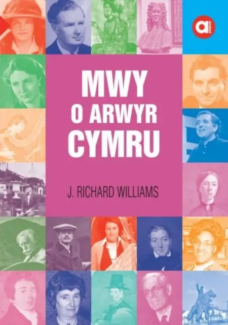 Cover: 9781845278090 | Cyfres Amdani: Mwy o Arwyr Cymru | J. Richard Williams | Taschenbuch