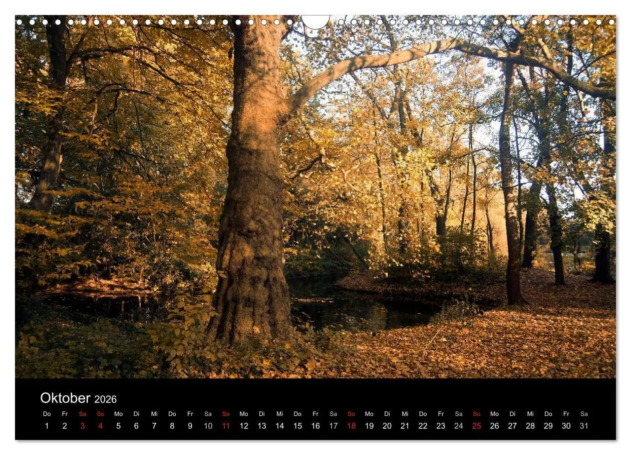 Bild: 9783516158090 | Düsseldorf 2026 (Wandkalender 2026 DIN A3 quer), CALVENDO...