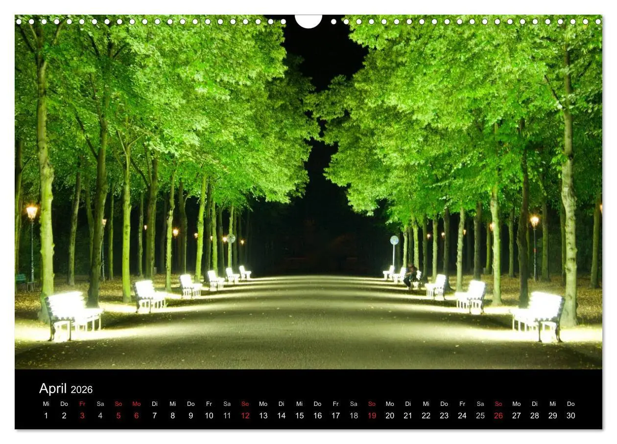 Bild: 9783516158090 | Düsseldorf 2026 (Wandkalender 2026 DIN A3 quer), CALVENDO...