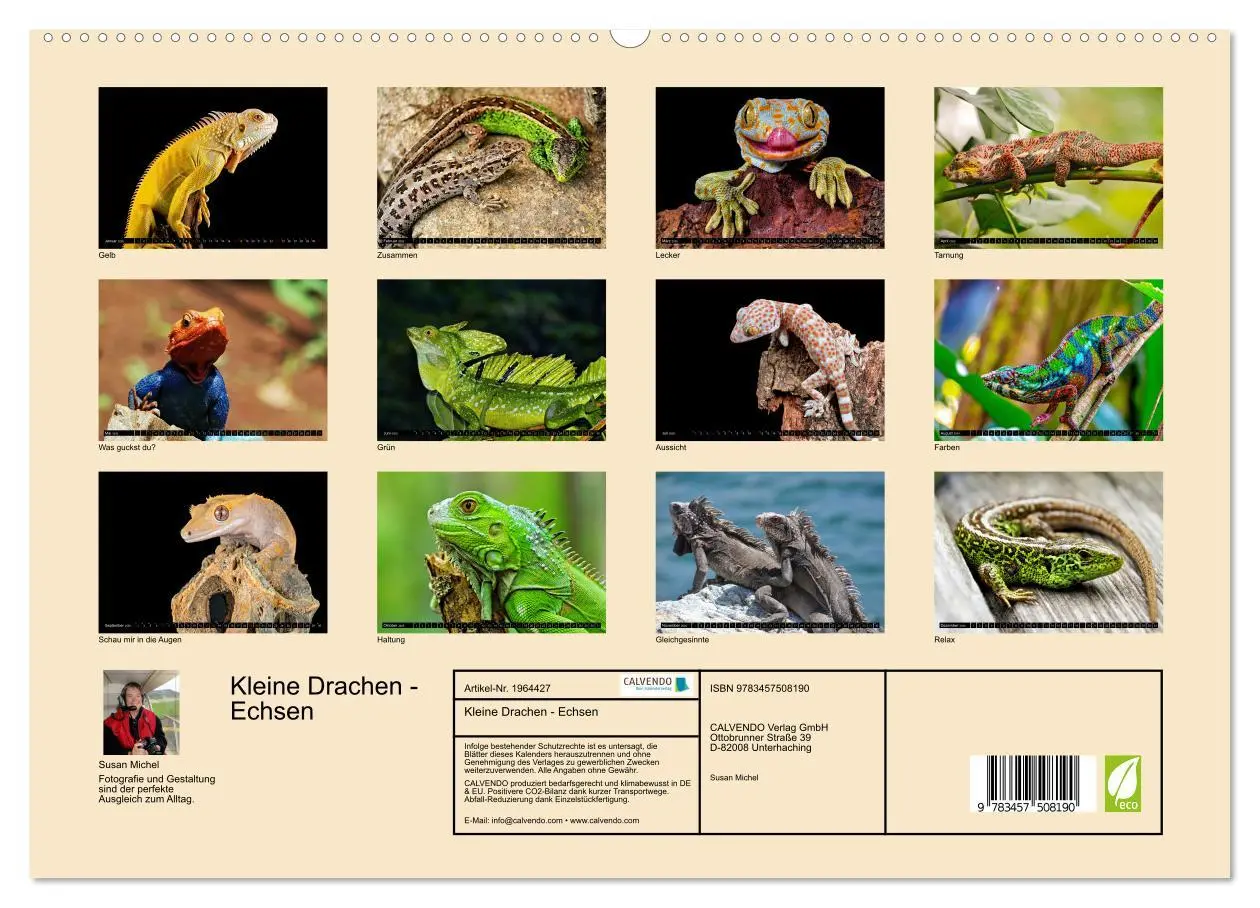Bild: 9783457508190 | Kleine Drachen - Echsen (hochwertiger Premium Wandkalender 2026 DIN...