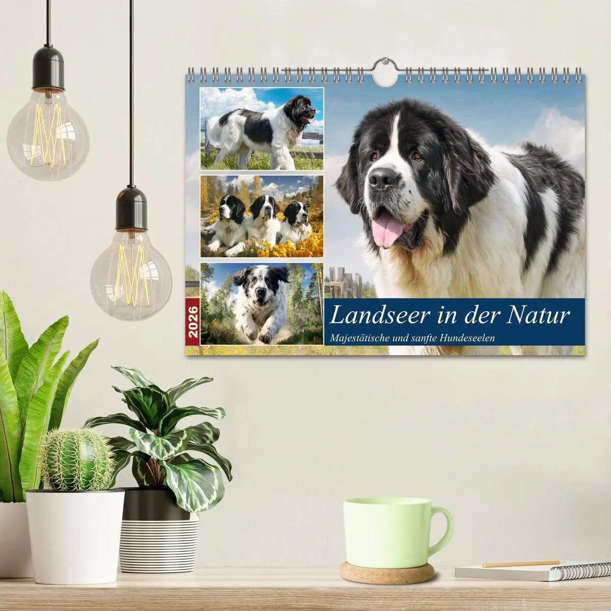 Bild: 9783457678190 | Landseer in der Natur. Majestätische und sanfte Hundeseelen...