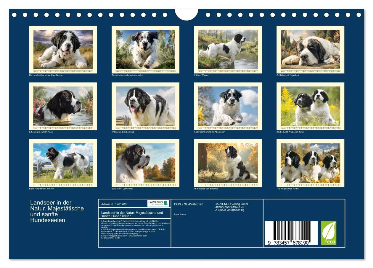 Bild: 9783457678190 | Landseer in der Natur. Majestätische und sanfte Hundeseelen...