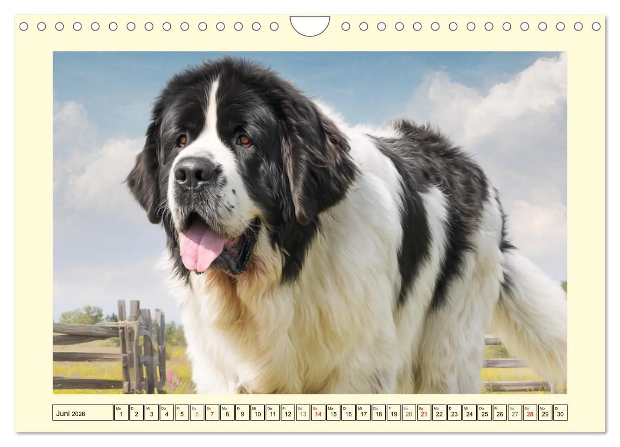 Bild: 9783457678190 | Landseer in der Natur. Majestätische und sanfte Hundeseelen...