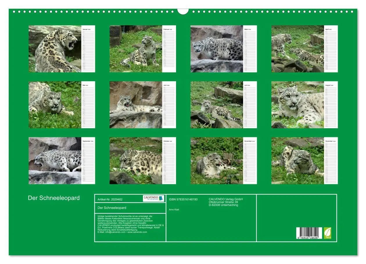Bild: 9783516148190 | Der Schneeleopard (Wandkalender 2026 DIN A2 quer), CALVENDO...