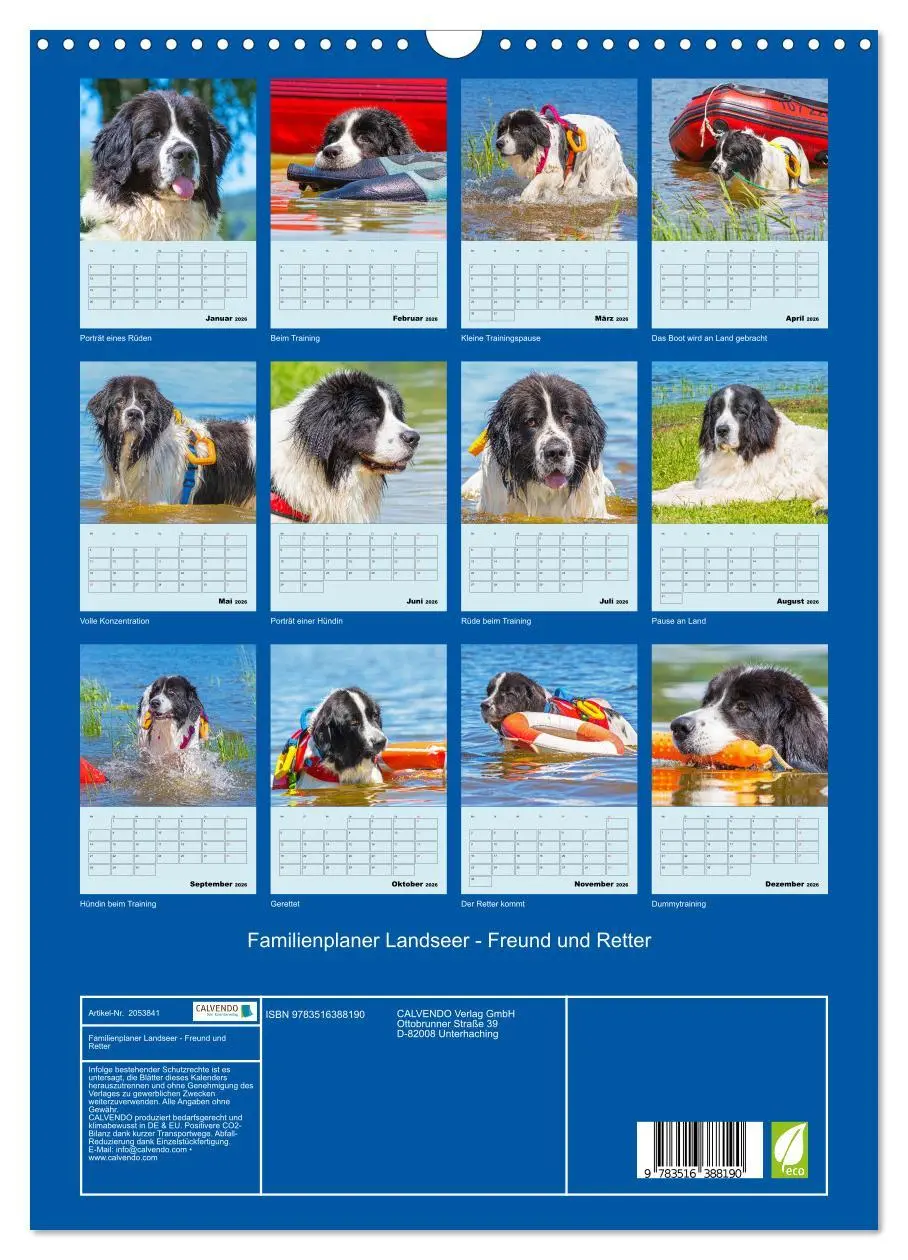 Bild: 9783516388190 | Familienplaner Landseer - Freund und Retter (Wandkalender 2026 DIN...