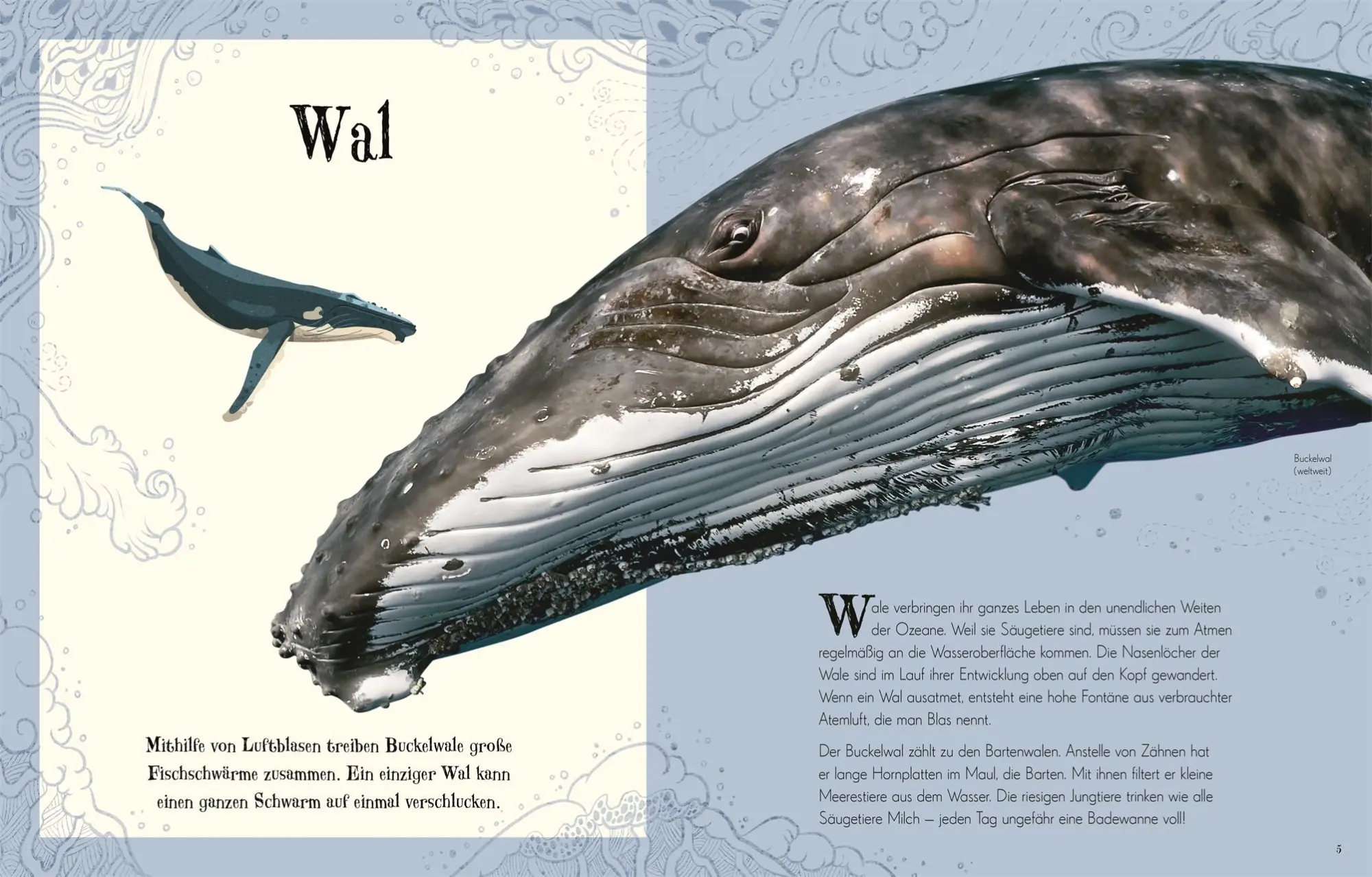 Bild: 9783831038190 | Wundervolle Welt der Tiere | Ben Hoare | Buch | Wundervolle Welt