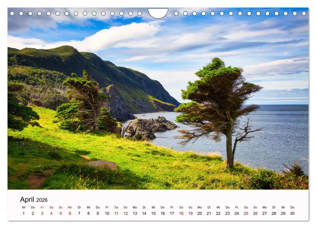 Bild: 9783457358290 | Neufundland - wilde Schönheit im Atlantik (Wandkalender 2026 DIN A4...