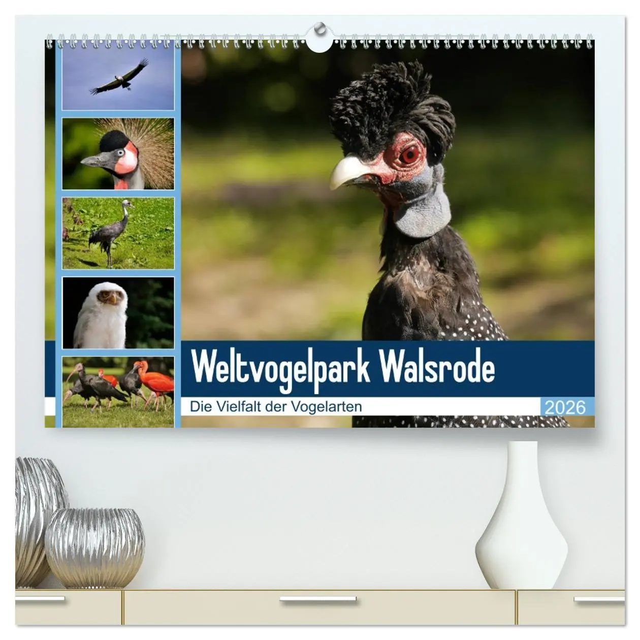 Cover: 9783457738290 | Weltvogelpark Walsrode - Die Vielfalt der Vogelarten (hochwertiger...