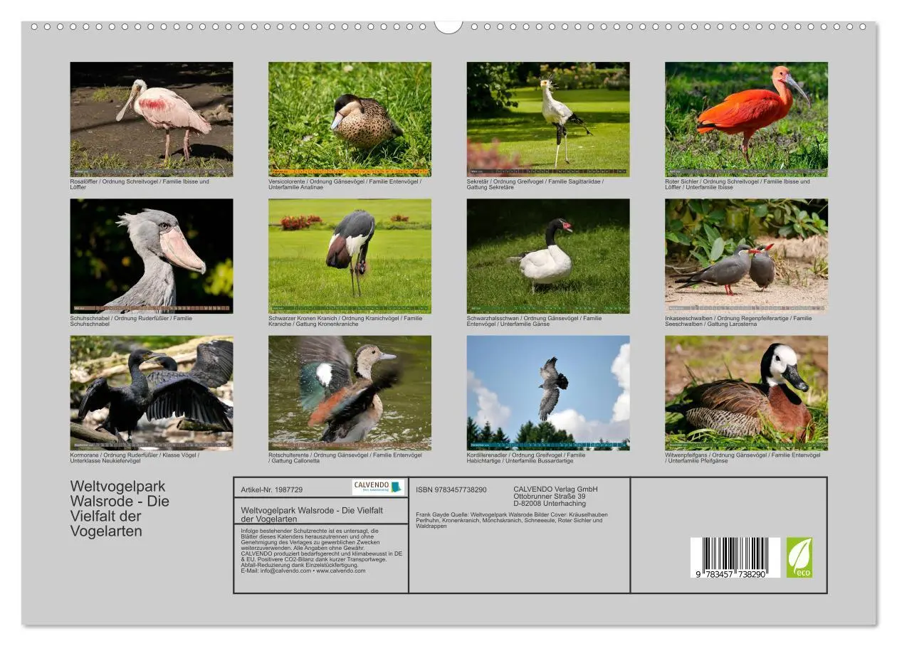 Bild: 9783457738290 | Weltvogelpark Walsrode - Die Vielfalt der Vogelarten (hochwertiger...