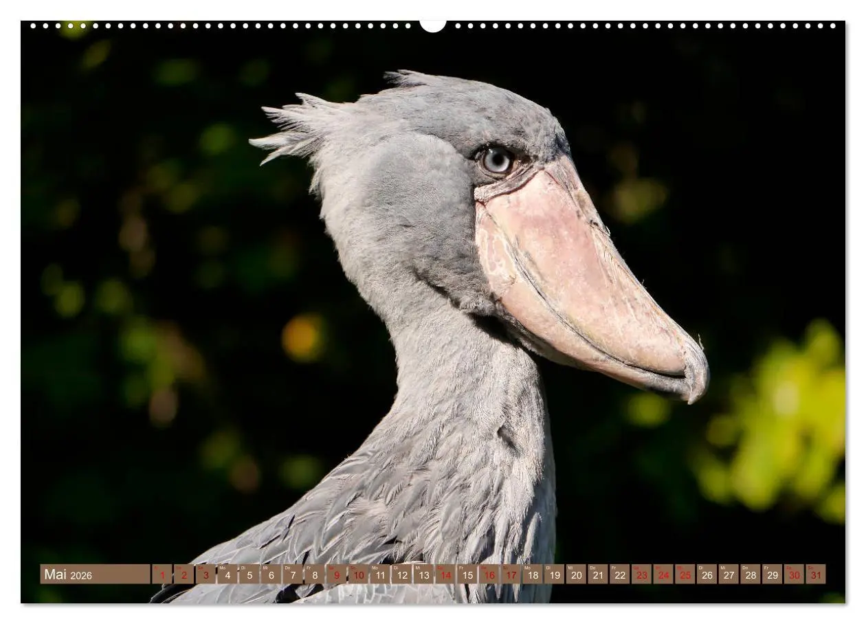 Bild: 9783457738290 | Weltvogelpark Walsrode - Die Vielfalt der Vogelarten (hochwertiger...
