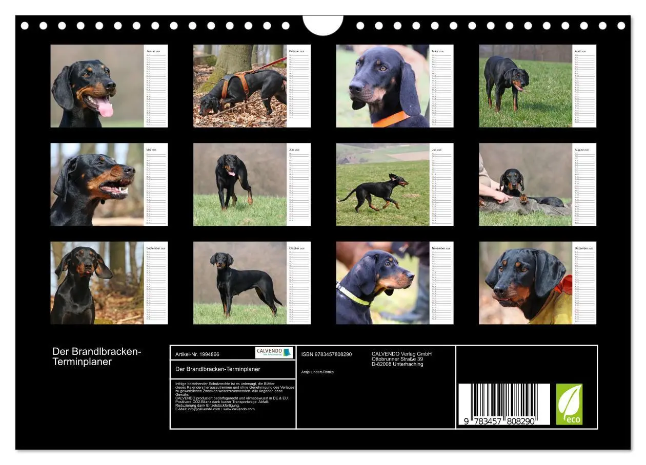 Bild: 9783457808290 | Der Brandlbracken-Terminplaner (Wandkalender 2026 DIN A4 quer),...
