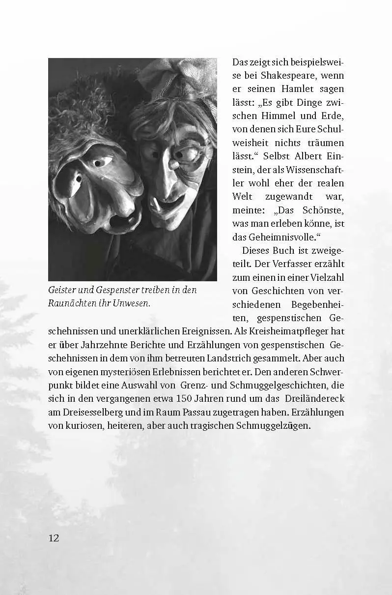 Bild: 9783955878290 | Grenz- und Weihrazgschichten | Rupert Berndl | Buch | 160 S. | Deutsch