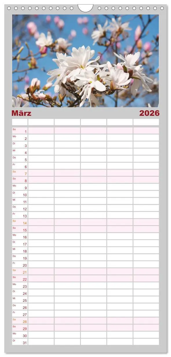 Bild: 9783516508390 | Familienplaner 2026 - Magnolien Ein Blütenrausch mit 5 Spalten...