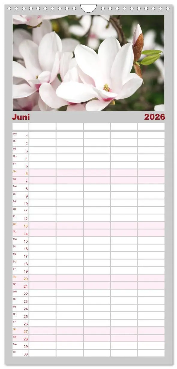 Bild: 9783516508390 | Familienplaner 2026 - Magnolien Ein Blütenrausch mit 5 Spalten...