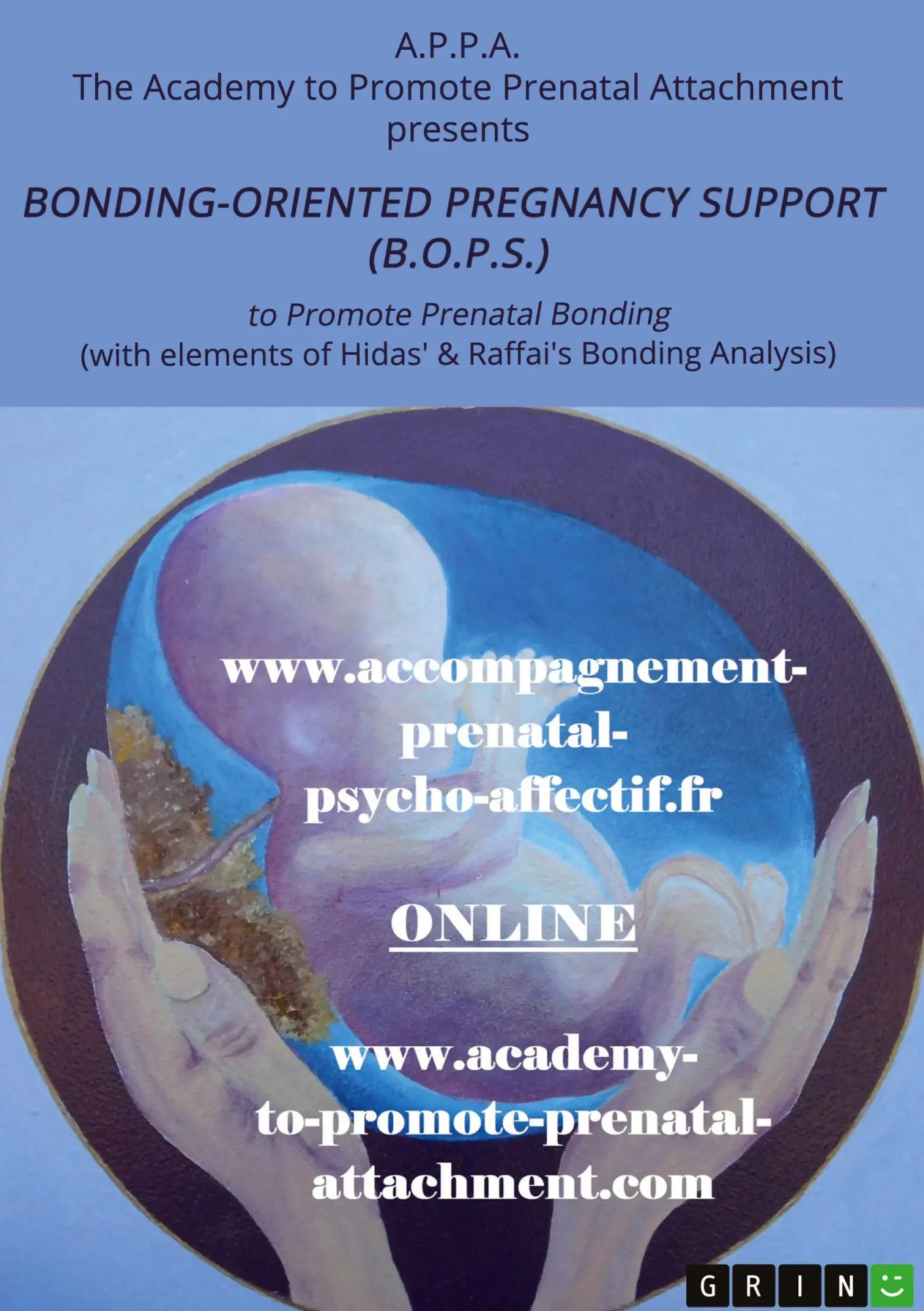 Cover: 9783389018590 | B.O.P.S. (Bonding-Oriented Pregnancy Support) | Balkenhol-Wright