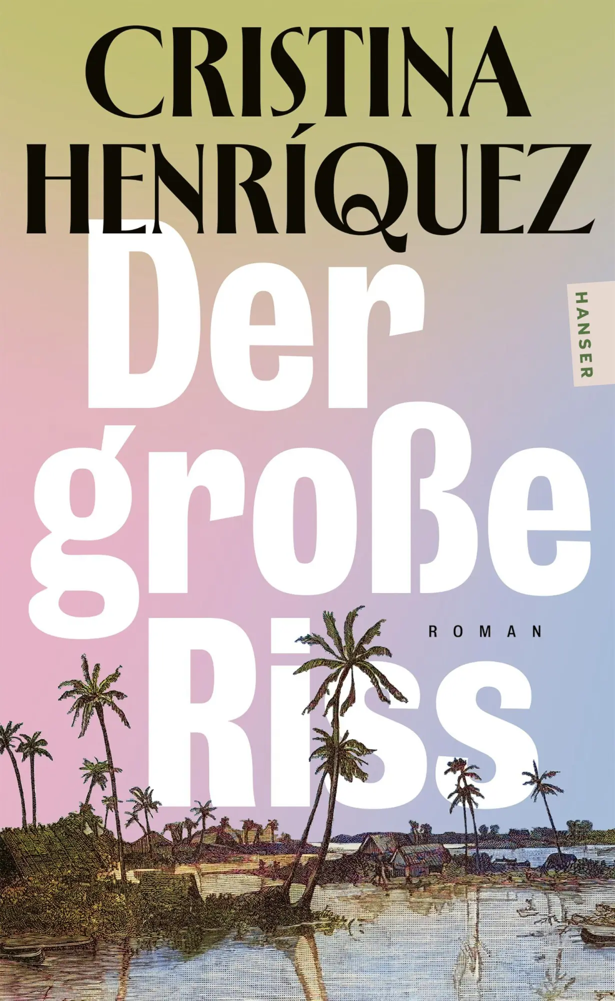 Cover: 9783446288690 | Der große Riss | Roman | Cristina Henríquez | Taschenbuch | 416 S.