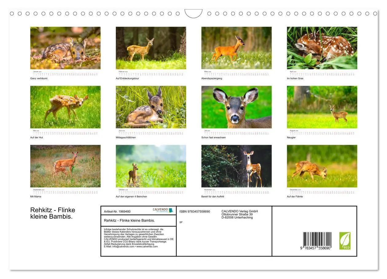 Bild: 9783457558690 | Rehkitz - Flinke kleine Bambis. (Wandkalender 2026 DIN A3 quer),...