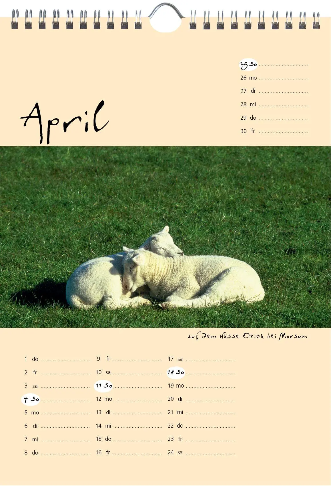 Bild: 9783944498690 | Sylt-die Insel 2027 A4 Kalender | Gernot Westendorf | Kalender | 2027