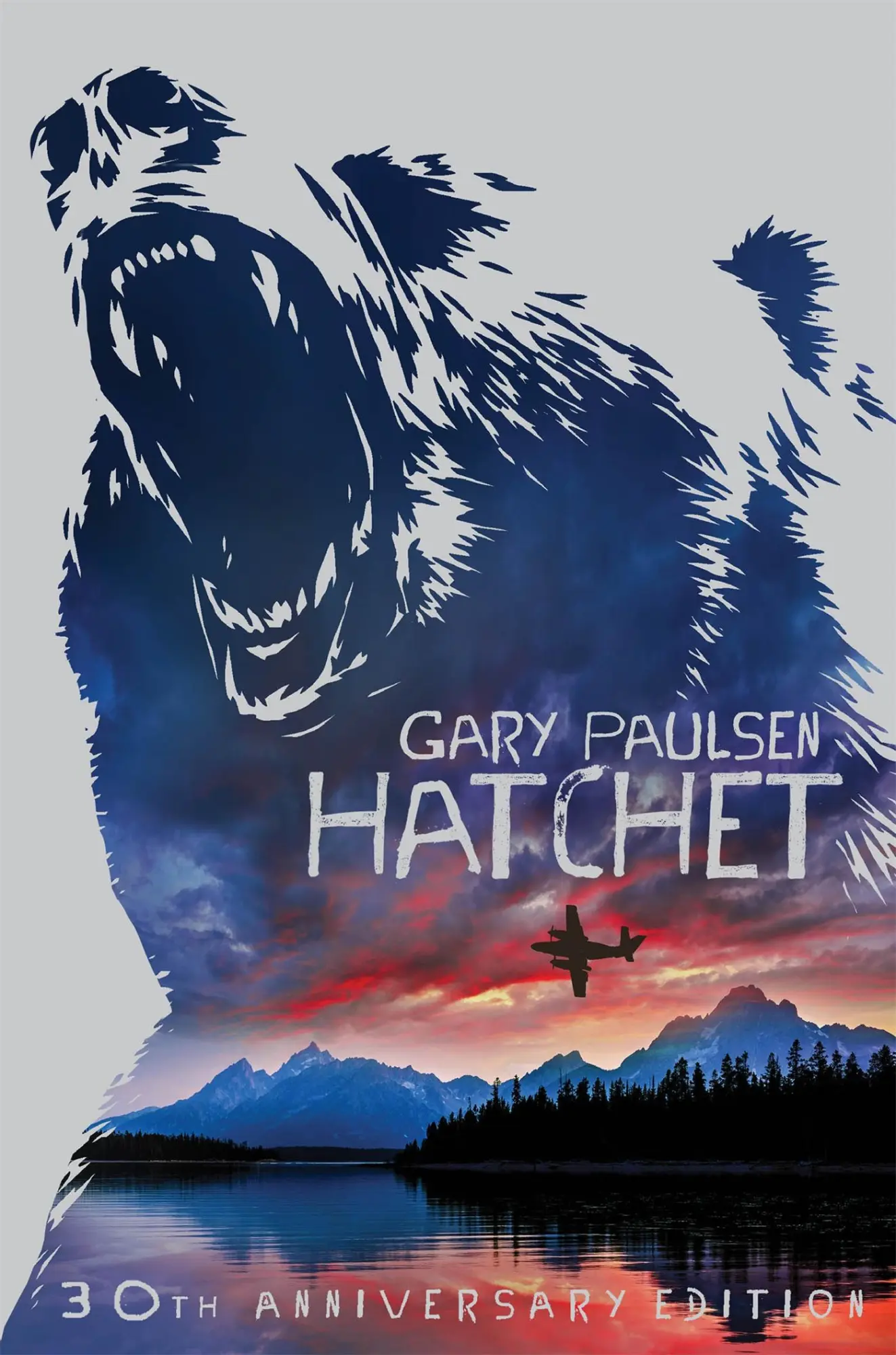 Cover: 9781509838790 | Hatchet | Gary Paulsen | Taschenbuch | 160 S. | Englisch | 2017