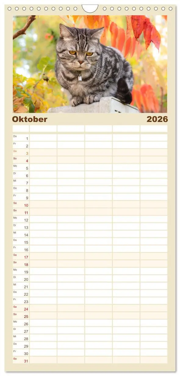 Bild: 9783516498790 | Familienplaner 2026 - Inseelfeeling - Hiddensee mit 5 Spalten...