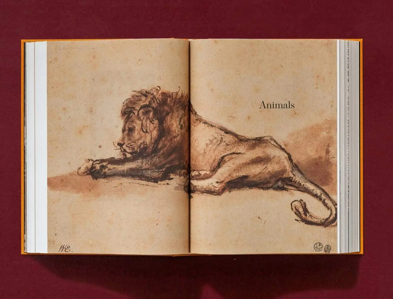 Bild: 9783836578790 | Rembrandt. Todos los dibujos y grabados | Erik Hinterding (u. a.)