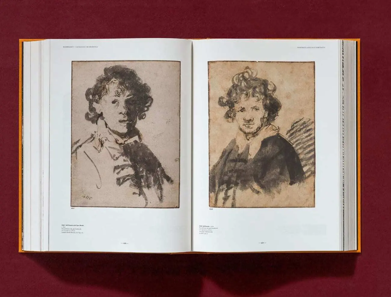 Bild: 9783836578790 | Rembrandt. Todos los dibujos y grabados | Erik Hinterding (u. a.)