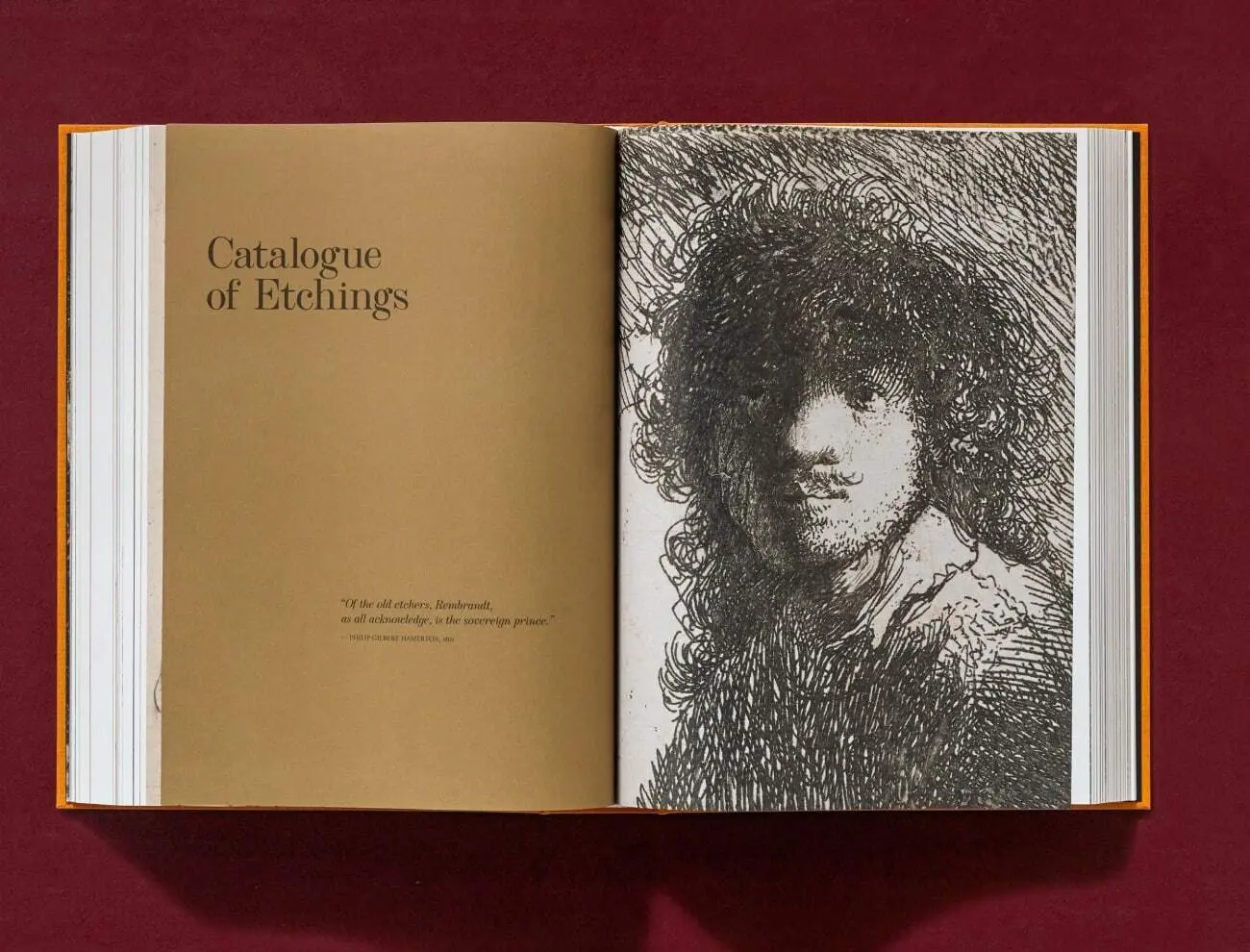 Bild: 9783836578790 | Rembrandt. Todos los dibujos y grabados | Erik Hinterding (u. a.)