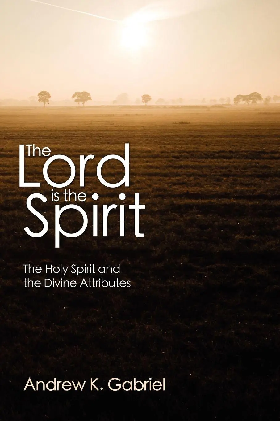 Cover: 9781608998890 | The Lord is the Spirit | Andrew K. Gabriel | Taschenbuch | Englisch