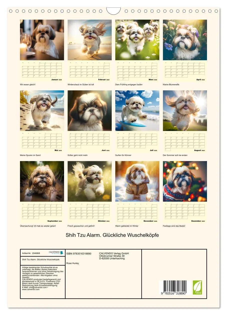 Bild: 9783516318890 | Shih Tzu Alarm. Glückliche Wuschelköpfe (Wandkalender 2026 DIN A3...