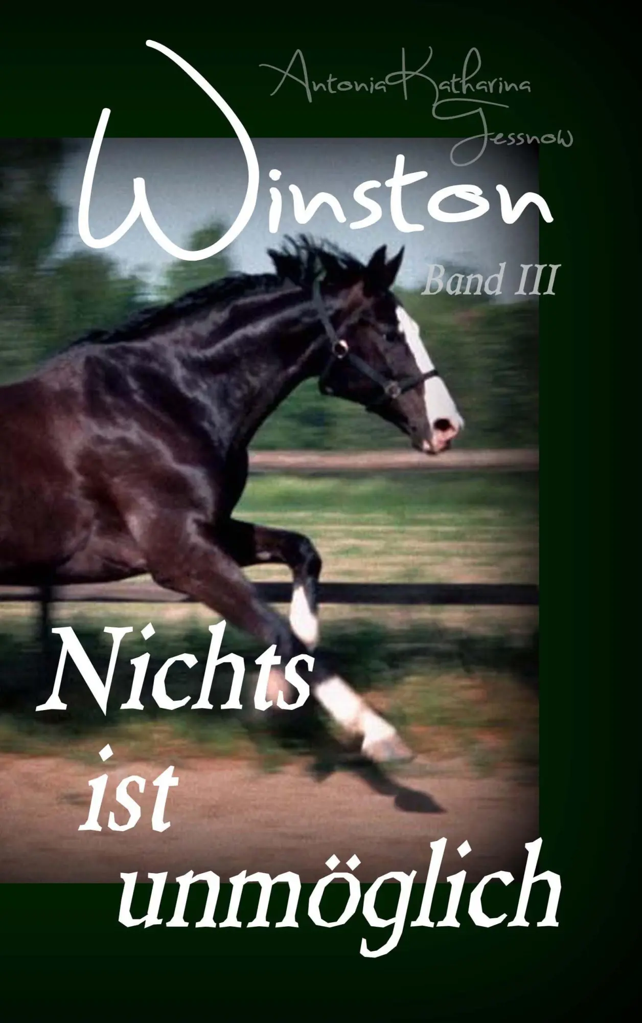 Winston - Nichts ist unmöglich: Pferdebuchserie in drei Bänden