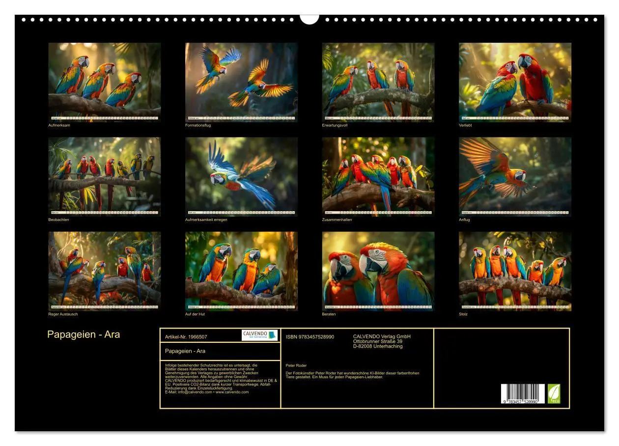 Bild: 9783457528990 | Papageien - Ara (Wandkalender 2026 DIN A2 quer), CALVENDO...