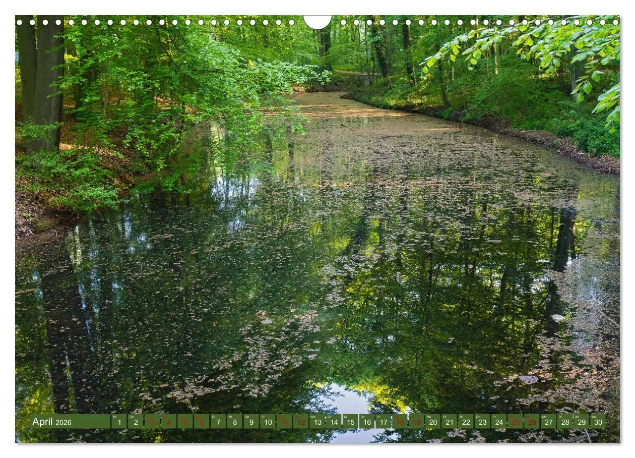 Bild: 9783457838990 | Das Steinfurter Bagno im Wandel der Jahreszeiten (Wandkalender 2026...