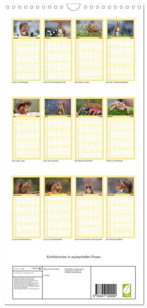 Bild: 9783457109090 | Familienplaner 2025 - Eichhörnchen in zauberhaften Posen mit 5...