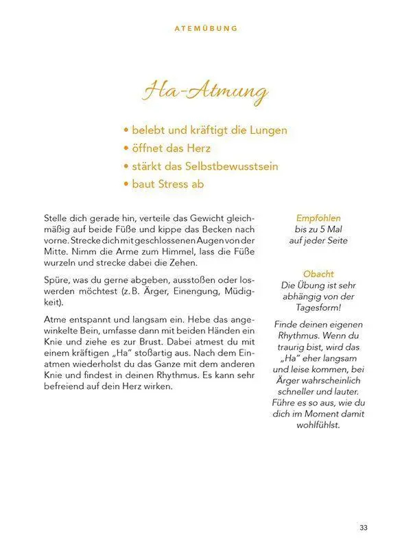 Bild: 9783945419090 | Bayrisch Yoga | Yoga mit Freid | Christine Rank | Taschenbuch | 120 S.