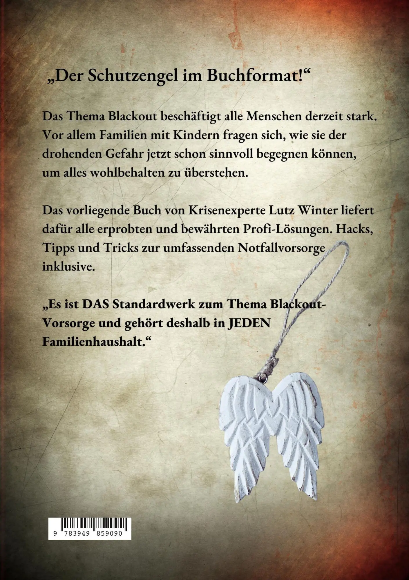 Rückseite: 9783949859090 | BLACKOUT Notfallvorsorge für die Familie bei Stromausfall in...
